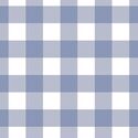 Large Gingham in Light Dutch Blue