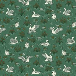 Swirling Swans in Hunter