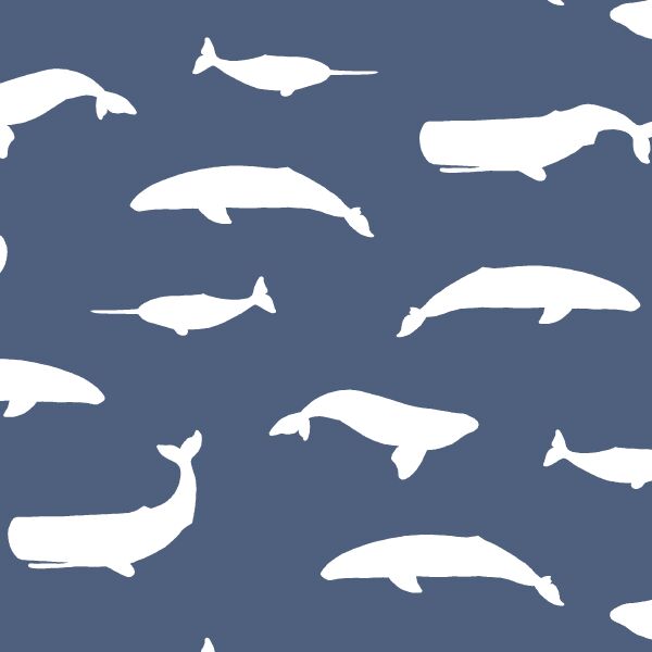 Whale Silhouette in Midnight