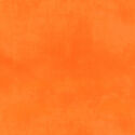 Palette in California Poppy