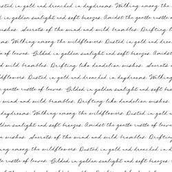 Vintage Script in White