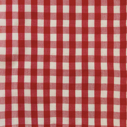 Gingham in Tomato