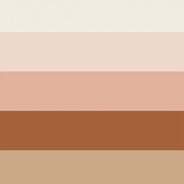 Large Ombre Stripe in Blushing