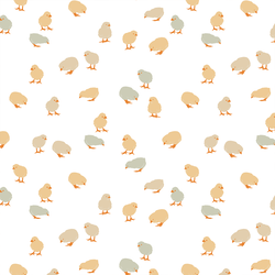 Chicks in Buttercup
