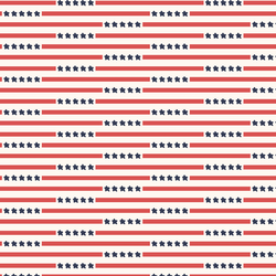 Star Spangled Stripes in Independence