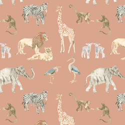 Wildlife in Sahara