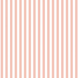 Dress Stripe in Petal