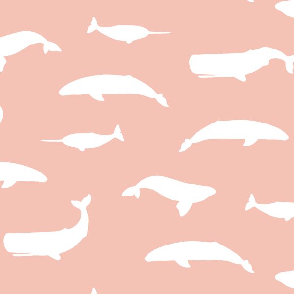 Whale Silhouette in Petal