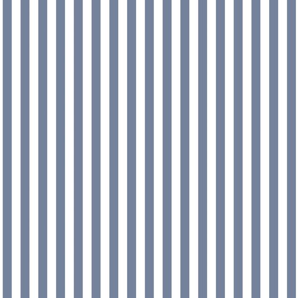 Dress Stripe in Dove