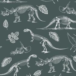 Fossils in Grey Green