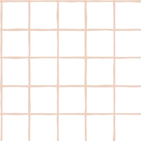 Windowpane in Shell on White