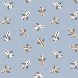 Planes in Evening Sky