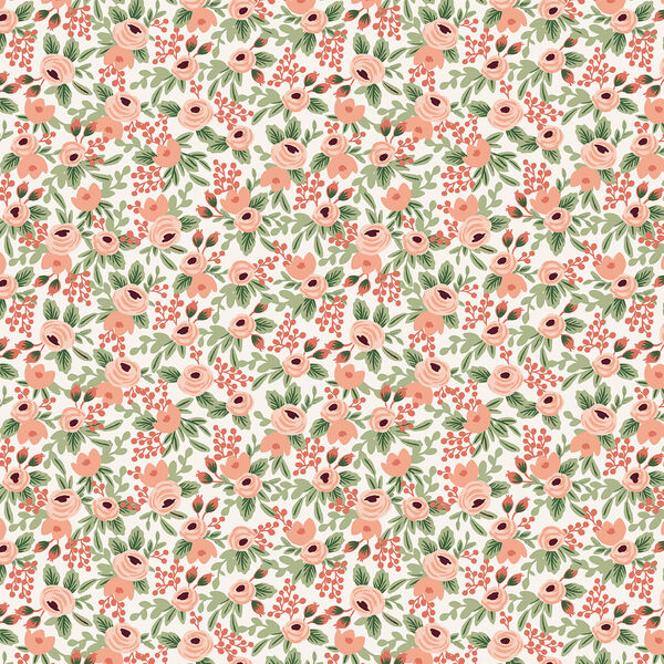 Rosa in Rose