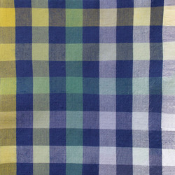 Small Plaid in Grass