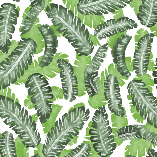 Banana Leaves in Greenery