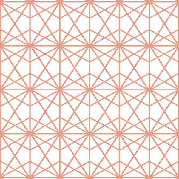 Terrarium in Grapefruit on White