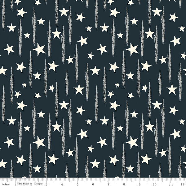 Stars and Stripes in Navy