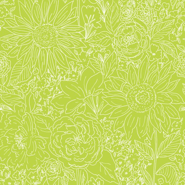 Paperie in Lime