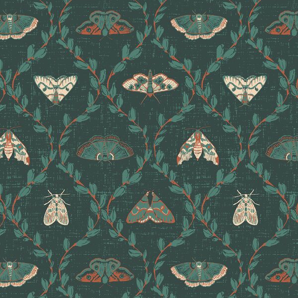 Divine Moths in Glade