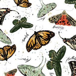Large Butterflies in Autumn Revival
