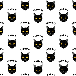 Mystical Cats in White