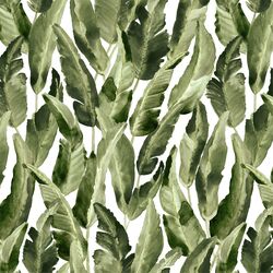 Wild Banana Leaf in White