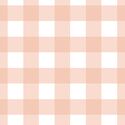 Large Gingham in Muted Peach