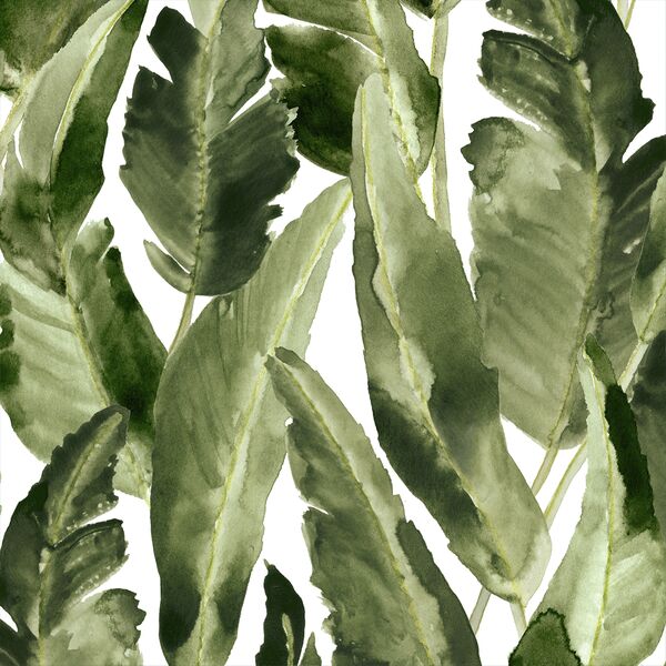 Large Wild Banana Leaf in White