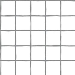 Windowpane in Smoke on White