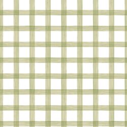 Painted Gingham in Willow Green