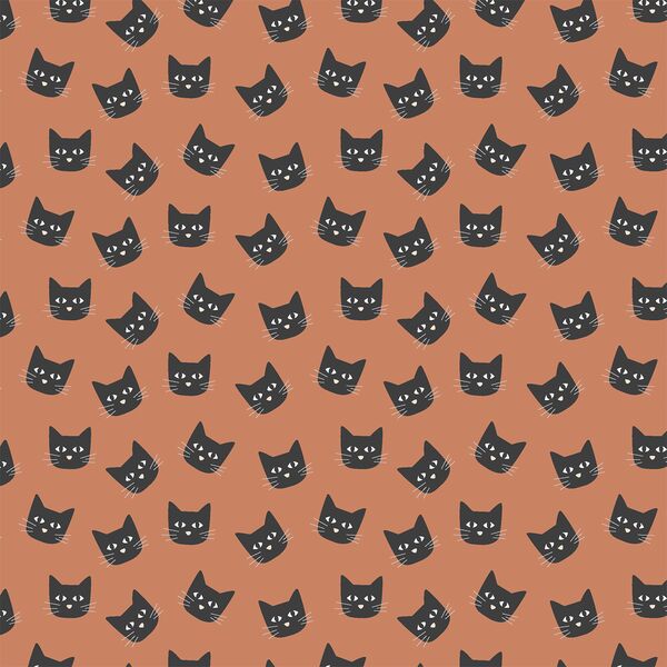 Black Cats in Rust Orange