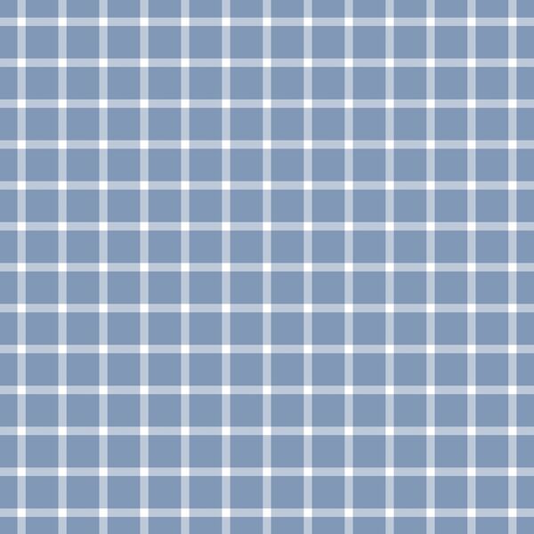 Gingham Check in Rain Shower