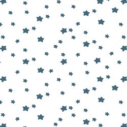 Star Light in Lake on White