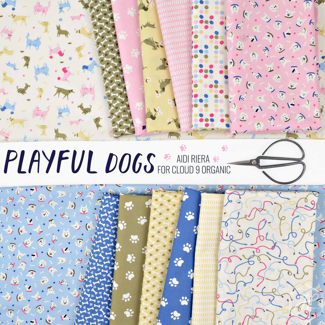 Playful Dogs Poster Image