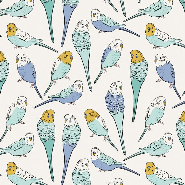 Parakeet Sketches in Sky