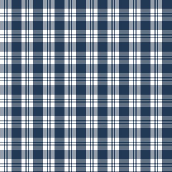 Little Spring Plaid in Navy