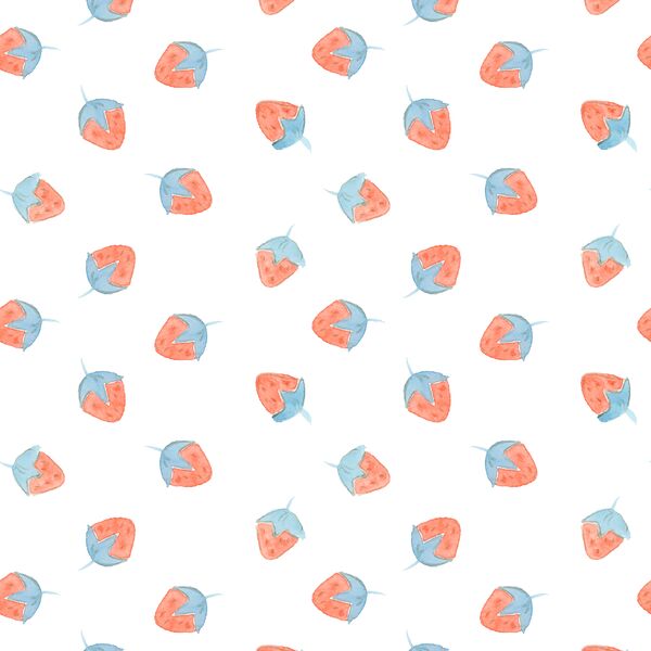 Strawberries in Picnic