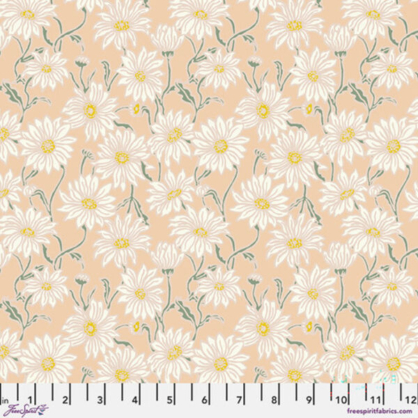 Daisy in Coral