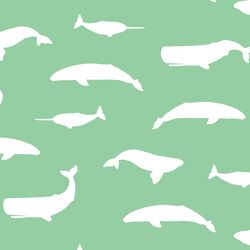 Whale Silhouette in Sprout