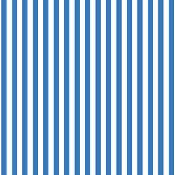 Dress Stripe in Cerulean