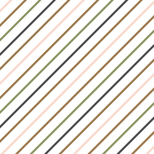 Candy Cane Stripe in Delight