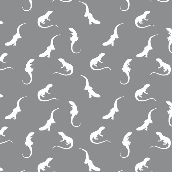 Iguana Silhouette in Smoke