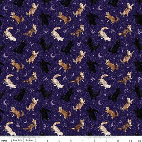 Cats in Purple