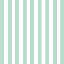 Candy Stripe in Mint