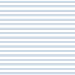 Horizontal Dress Stripe in Cirrus