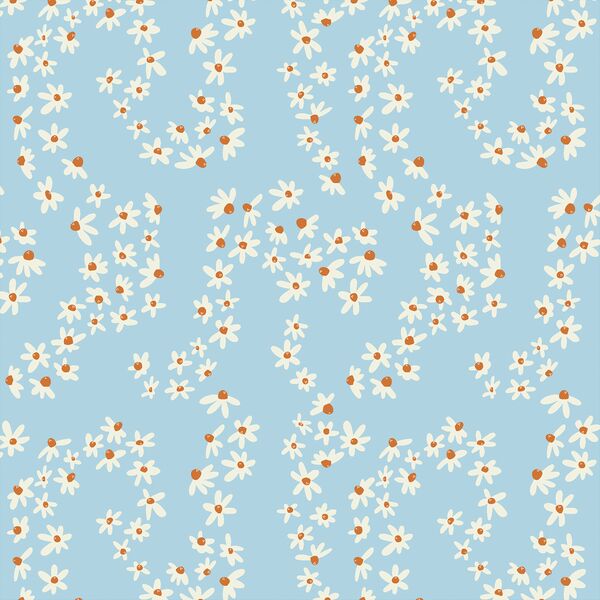 Daisy Fields in Clear Sky