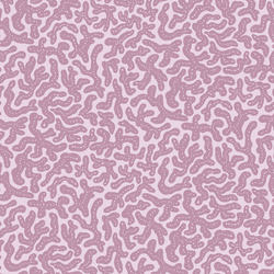 Coral Chorale in Sands