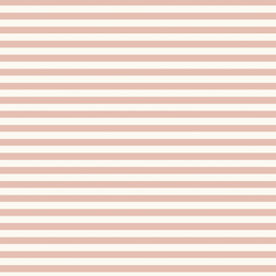 Spring Stripe in Powder Pink