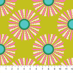Ribbon Rays in Guava