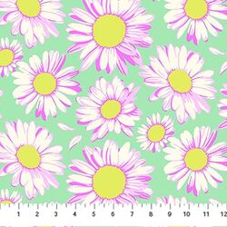 Sunshine Daisies in Sky